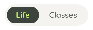The Life and Classes toggle, Life selected